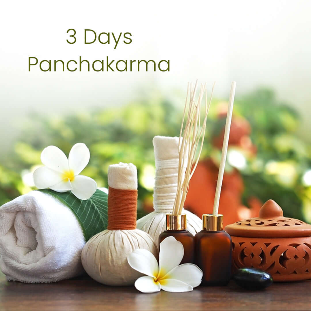 3 Day Panchakarma Ayurvedic Cleanse Therapy For Canada People – Sevayu ...