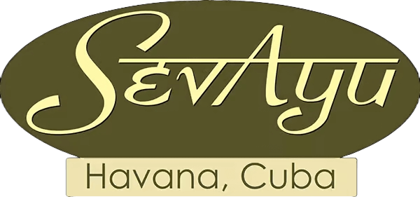 Sevayu Ayurveda Resort